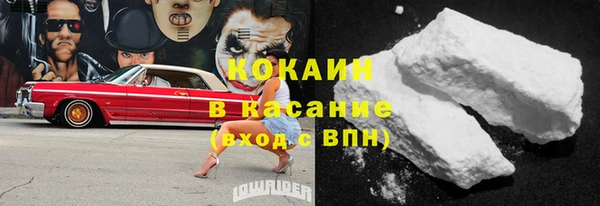 прущие грибы Магас