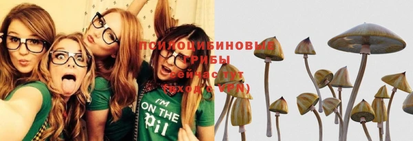 стафф Майский