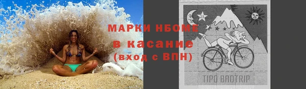 прущие грибы Магас