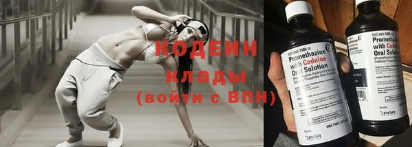 стафф Майский