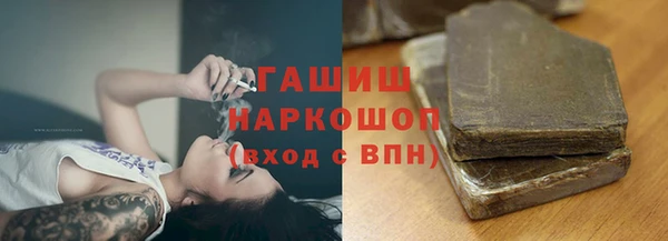 сатива Магадан