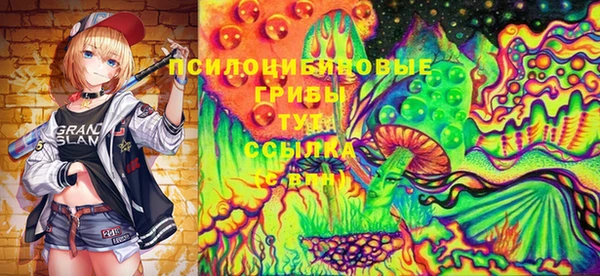 сатива Магадан