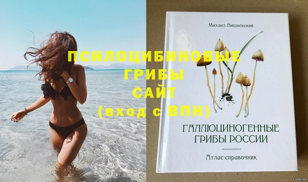 сатива Магадан