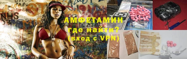 прущие грибы Магас