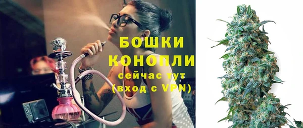 сатива Магадан