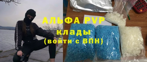 ПСИЛОЦИБИНОВЫЕ ГРИБЫ Липки