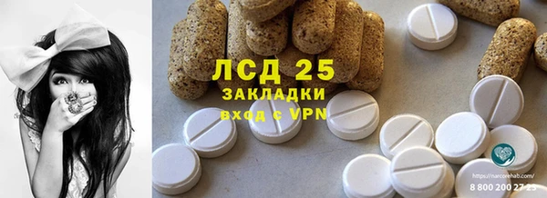 прущие грибы Магас