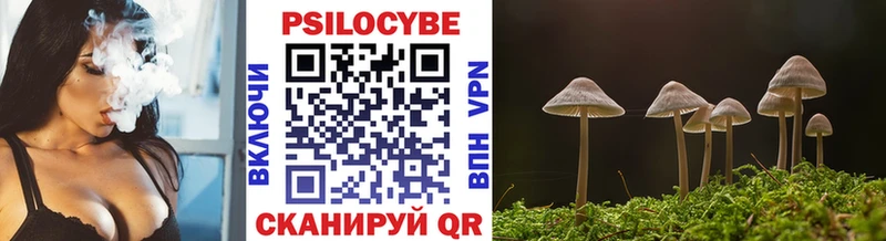Галлюциногенные грибы Psilocybe  Лакинск 